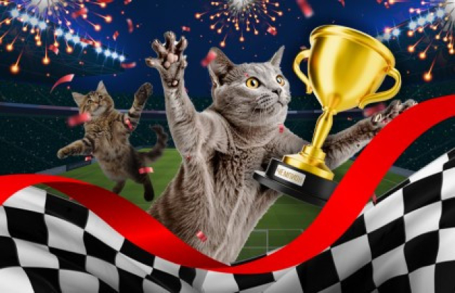 ПРИКЛЮЧЕНИЯ КОТОВ-ЧЕМПИОНОВ. При участии Юрия Куклачева. - Mosbilet.ru