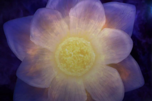 «Эпоха звёзд» - Mosbilet.ru