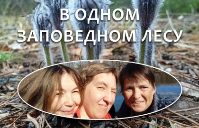 В одном заповедном лесу - Mosbilet.ru