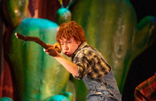 Вождь краснокожих в Московский Губернский театр, Москва – Mosbilet.ru