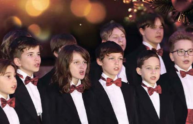 Лучшая музыка Рождества. Хор мальчиков и орган в Римско-католический кафедральный собор, Москва – Mosbilet.ru