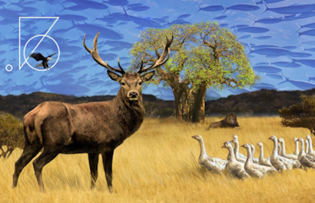 Чайка с продолжением - Mosbilet.ru