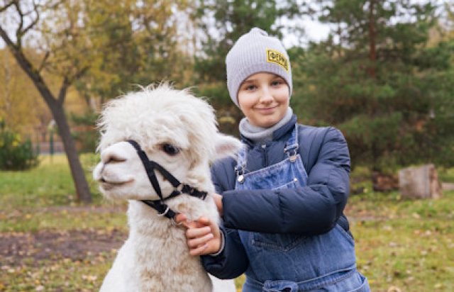 Городская Ферма на ВДНХ (выходные) - 