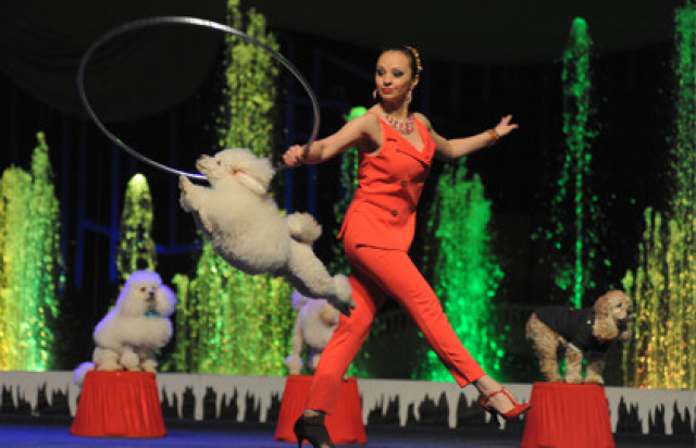 Шоу зверей в Московский театр иллюзии. Основная сцена, Москва – Mosbilet.ru