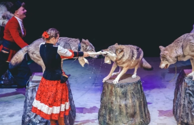 Необыкновенное путешествие в Театр «Уголок дедушки Дурова» (Новая сцена), Москва – Mosbilet.ru