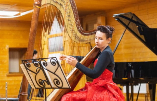 Концерт «Органные вечера в коломенском. Арфа и орган: от барокко к XX веку» в Музей-заповедник «Коломенское», Москва – Mosbilet.ru