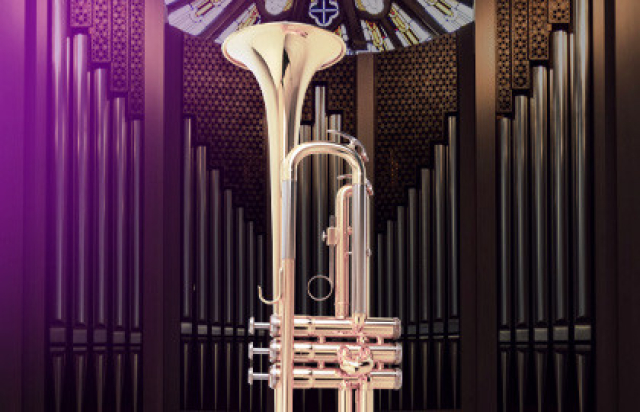 Королевский дуэт: орган и труба в Кафедральный собор святых Петра и Павла, Москва – Mosbilet.ru