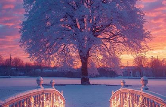 Концерт «А. Вивальди, А. Пьяццолла. Времена года. Оркестр, орган, скрипка» в Римско-католический кафедральный собор, Москва – Mosbilet.ru