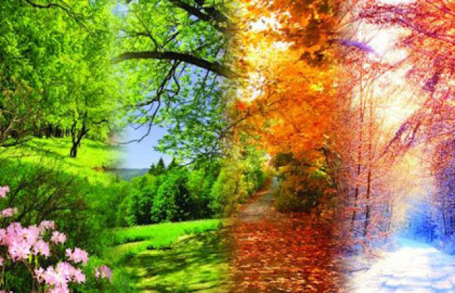 Концерт «Музыка при свечах! Вивальди. Времена года. Моцарт. Маленькая ночная серенада. Паганини. Кампанелла» в Зал Церковных Соборов Храма Христа Спасителя, Москва – Mosbilet.ru