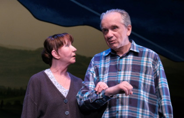 Земля Эльзы в Театр «Et Cetera» п/р Александра Калягина, Москва – Mosbilet.ru