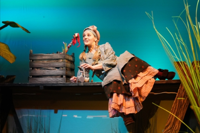 Спектакль «Гадкий утенок» в Театр кукол имени С.В. Образцова, Москва – Mosbilet.ru