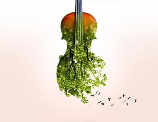 Концерт «Времена года. Вивальди. Пьяццолла» в Московская консерватория, Москва – Mosbilet.ru